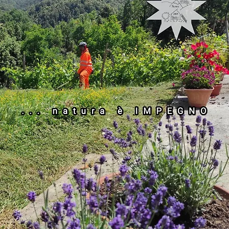 Apartment Pizinno Casaponzi