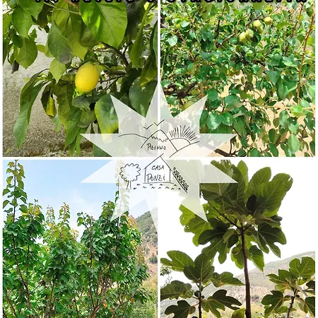 Apartamento Pizinno Casaponzi