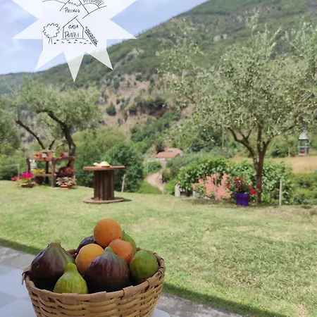 Apartment Pizinno Casaponzi