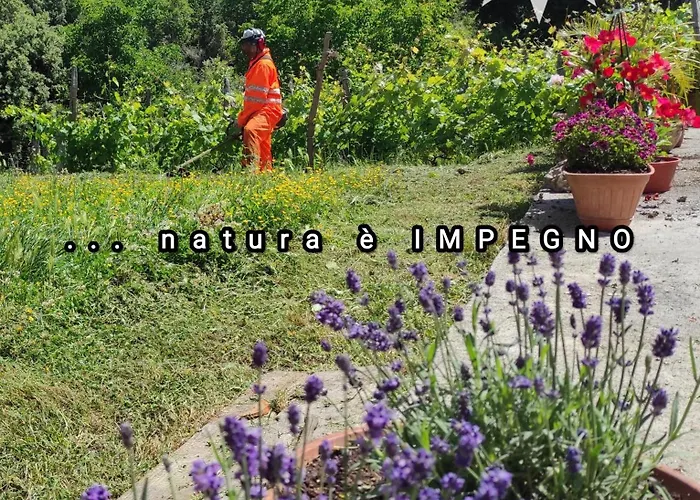 Apartament Pizinno Casaponzi