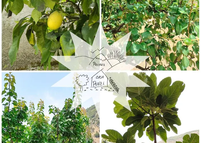 Appartamento Pizinno Casaponzi